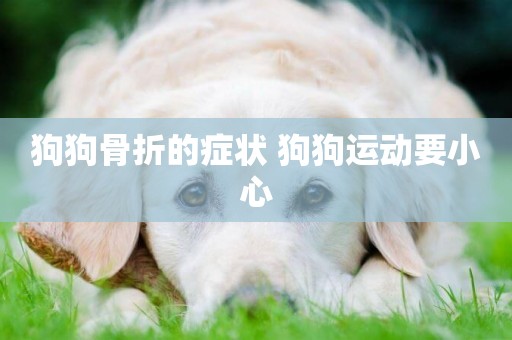 狗狗骨折的癥狀 狗狗運動要小心