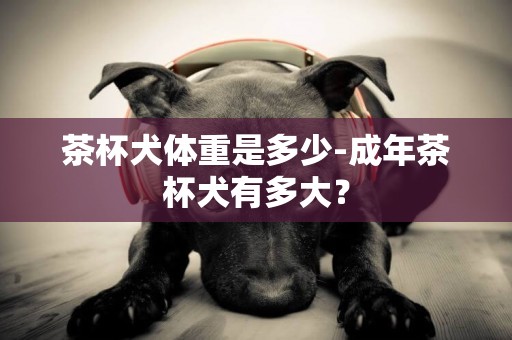 茶杯犬體重是多少-成年茶杯犬有多大？