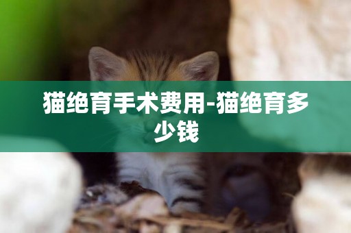 貓絕育手術費用-貓絕育多少錢