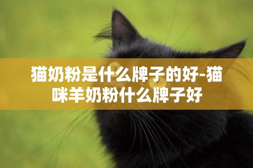 貓奶粉是什么牌子的好-貓咪羊奶粉什么牌子好