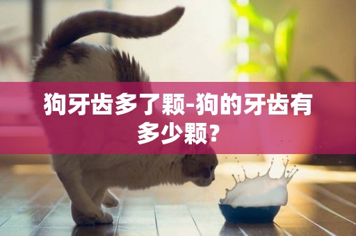 狗牙齒多了顆-狗的牙齒有多少顆？