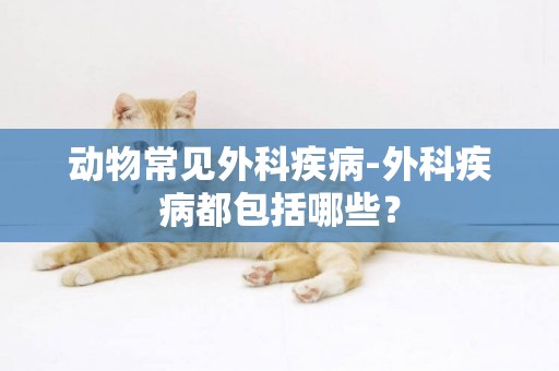 動物常見外科疾病-外科疾病都包括哪些？