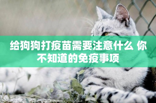 給狗狗打疫苗需要注意什么 你不知道的免疫事項