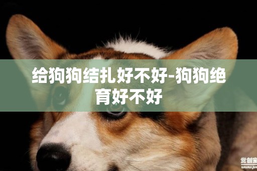 給狗狗結扎好不好-狗狗絕育好不好