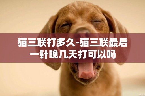 貓三聯打多久-貓三聯最后一針晚幾天打可以嗎