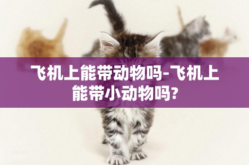 飛機上能帶動物嗎-飛機上能帶小動物嗎?