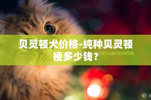 貝靈頓犬價格-純種貝靈頓梗多少錢？