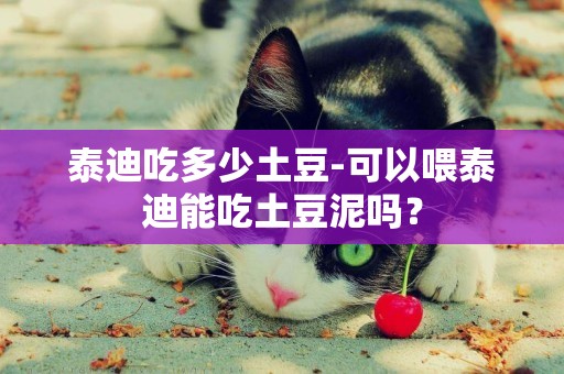 泰迪吃多少土豆-可以喂泰迪能吃土豆泥嗎？