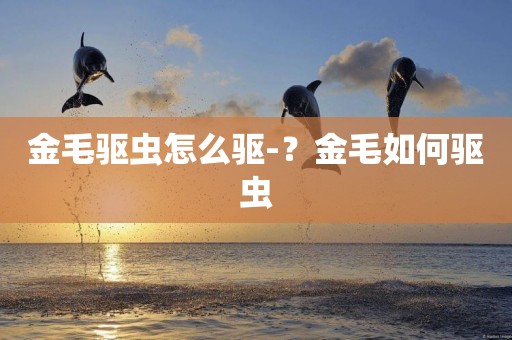 金毛驅蟲怎么驅-？金毛如何驅蟲