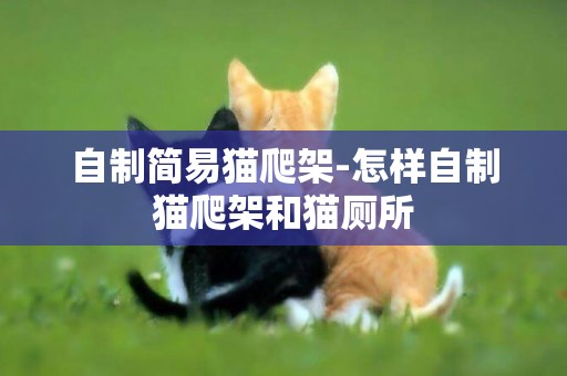 自制簡易貓爬架-怎樣自制貓爬架和貓廁所