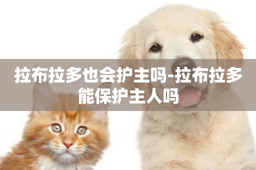 拉布拉多也會護主嗎-拉布拉多能保護主人嗎