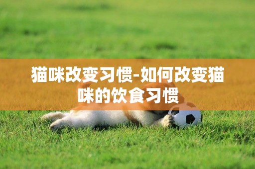 貓咪改變習慣-如何改變貓咪的飲食習慣