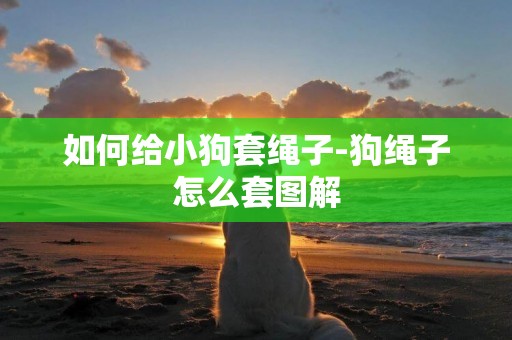 如何給小狗套繩子-狗繩子怎么套圖解