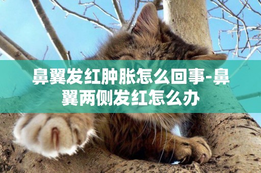 鼻翼發紅腫脹怎么回事-鼻翼兩側發紅怎么辦