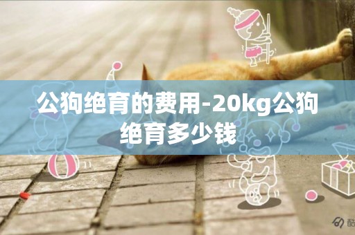 公狗絕育的費用-20kg公狗絕育多少錢