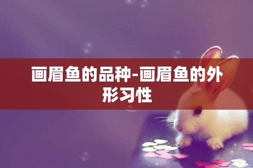 畫眉魚的品種-畫眉魚的外形習性