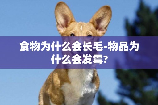 食物為什么會長毛-物品為什么會發霉?