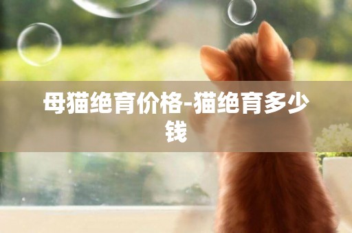 母貓絕育價格-貓絕育多少錢
