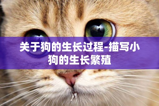 關于狗的生長過程-描寫小狗的生長繁殖