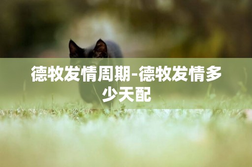 德牧發情周期-德牧發情多少天配