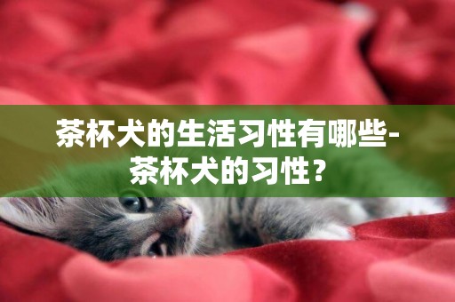 茶杯犬的生活習性有哪些-茶杯犬的習性？