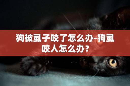 狗被虱子咬了怎么辦-狗虱咬人怎么辦？