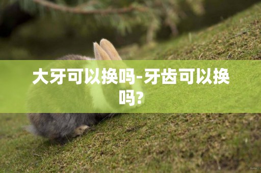 大牙可以換嗎-牙齒可以換嗎?