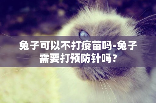 兔子可以不打疫苗嗎-兔子需要打預防針嗎？