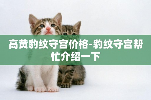 高黃豹紋守宮價格-豹紋守宮幫忙介紹一下