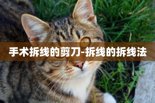 手術拆線的剪刀-拆線的拆線法