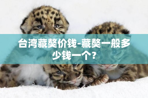 臺灣藏獒價錢-藏獒一般多少錢一個？