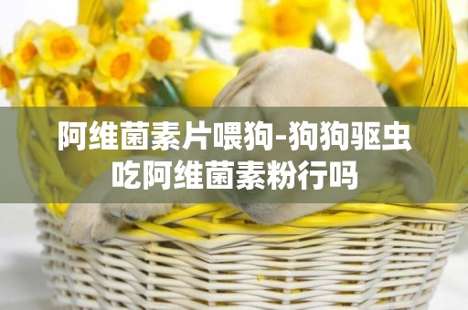 阿維菌素片喂狗-狗狗驅蟲吃阿維菌素粉行嗎