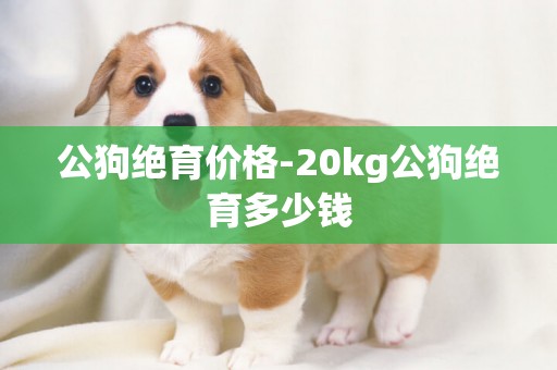 公狗絕育價格-20kg公狗絕育多少錢