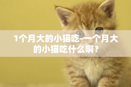 1個月大的小貓吃-一個月大的小貓吃什么啊？