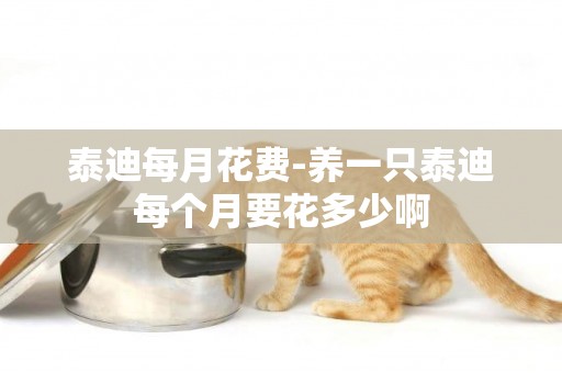 泰迪每月花費-養一只泰迪每個月要花多少啊