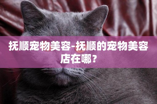 撫順寵物美容-撫順的寵物美容店在哪？