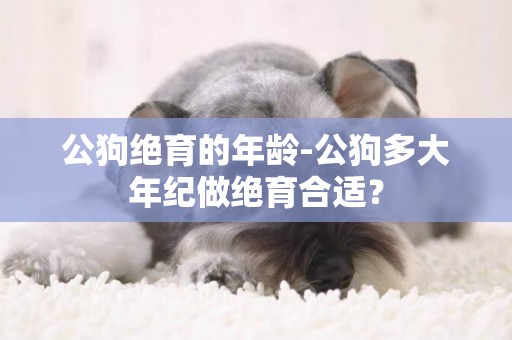 公狗絕育的年齡-公狗多大年紀做絕育合適？