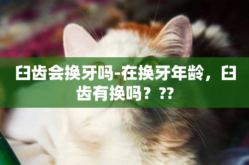 臼齒會換牙嗎-在換牙年齡，臼齒有換嗎？??