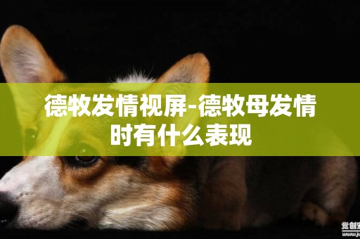 德牧發情視屏-德牧母發情時有什么表現