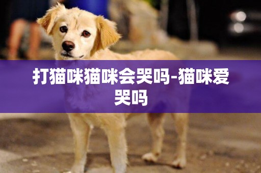 打貓咪貓咪會哭嗎-貓咪愛哭嗎