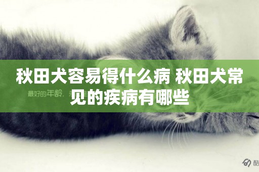 秋田犬容易得什么病 秋田犬常見的疾病有哪些