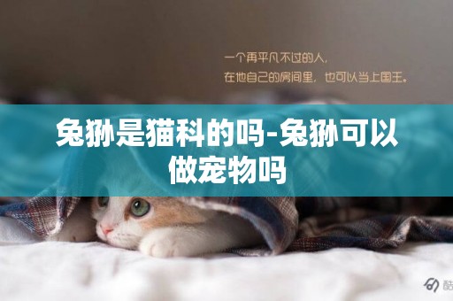 兔猻是貓科的嗎-兔猻可以做寵物嗎