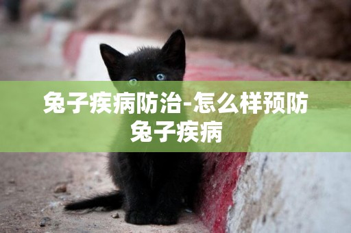 兔子疾病防治-怎么樣預防兔子疾病