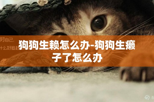 狗狗生賴怎么辦-狗狗生癩子了怎么辦