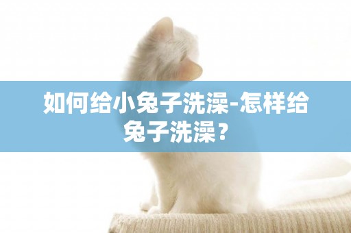 如何給小兔子洗澡-怎樣給兔子洗澡？