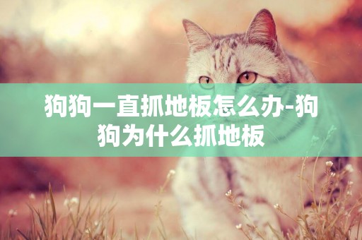 狗狗一直抓地板怎么辦-狗狗為什么抓地板