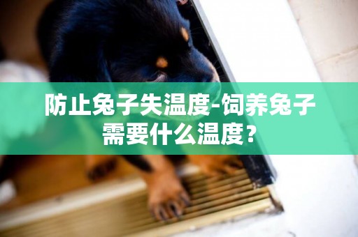 防止兔子失溫度-飼養兔子需要什么溫度？