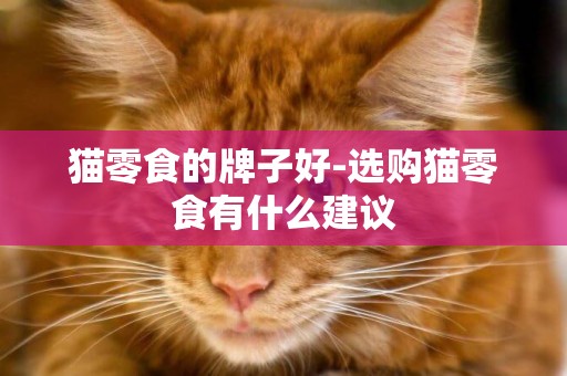 貓零食的牌子好-選購貓零食有什么建議