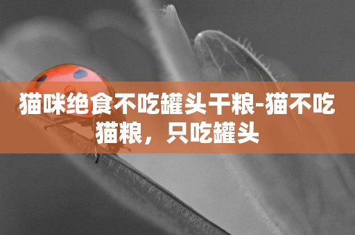 貓咪絕食不吃罐頭干糧-貓不吃貓糧，只吃罐頭