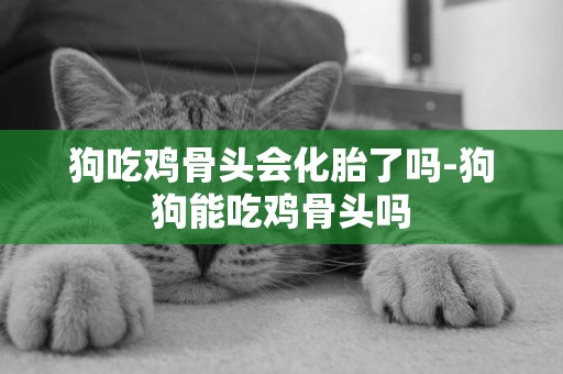 狗吃雞骨頭會化胎了嗎-狗狗能吃雞骨頭嗎